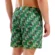 Arena šorts za plivanje - Boxerice Water Prints